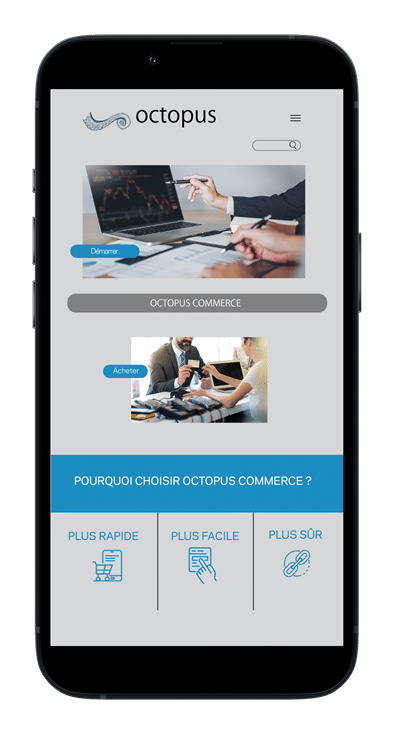 Home page of the website in Japanese vs in French